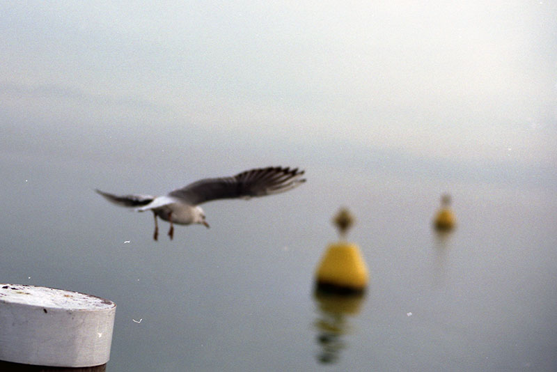 sirmione
