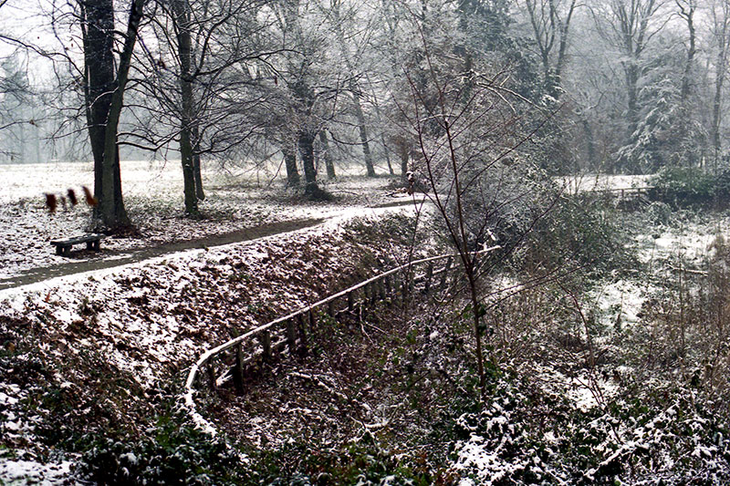 parco Borromeo