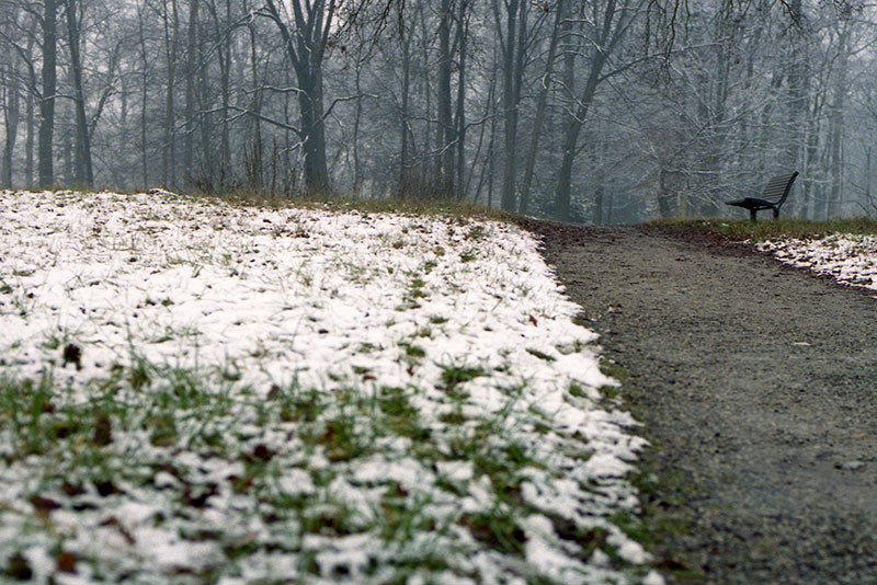 parco Borromeo