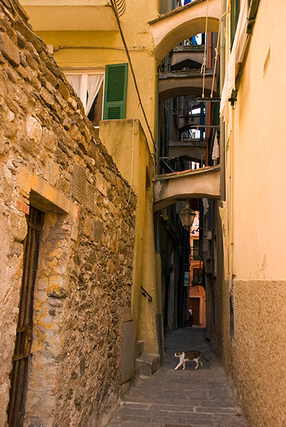 vernazza