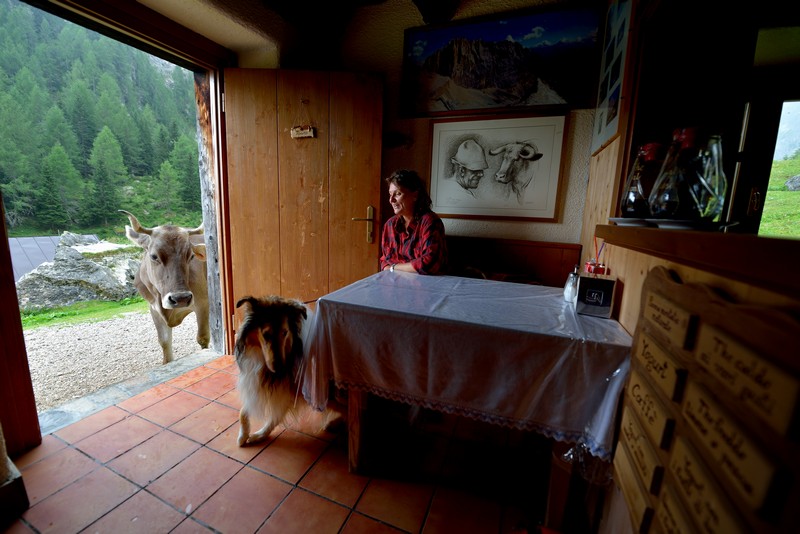 dolomiti