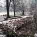 parco Borromeo
